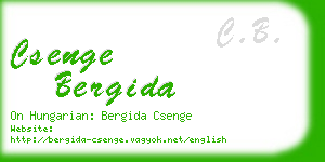 csenge bergida business card
